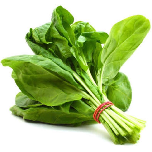 Spinach baby salad alugbati kangkong vegetable leaf seeds malabar