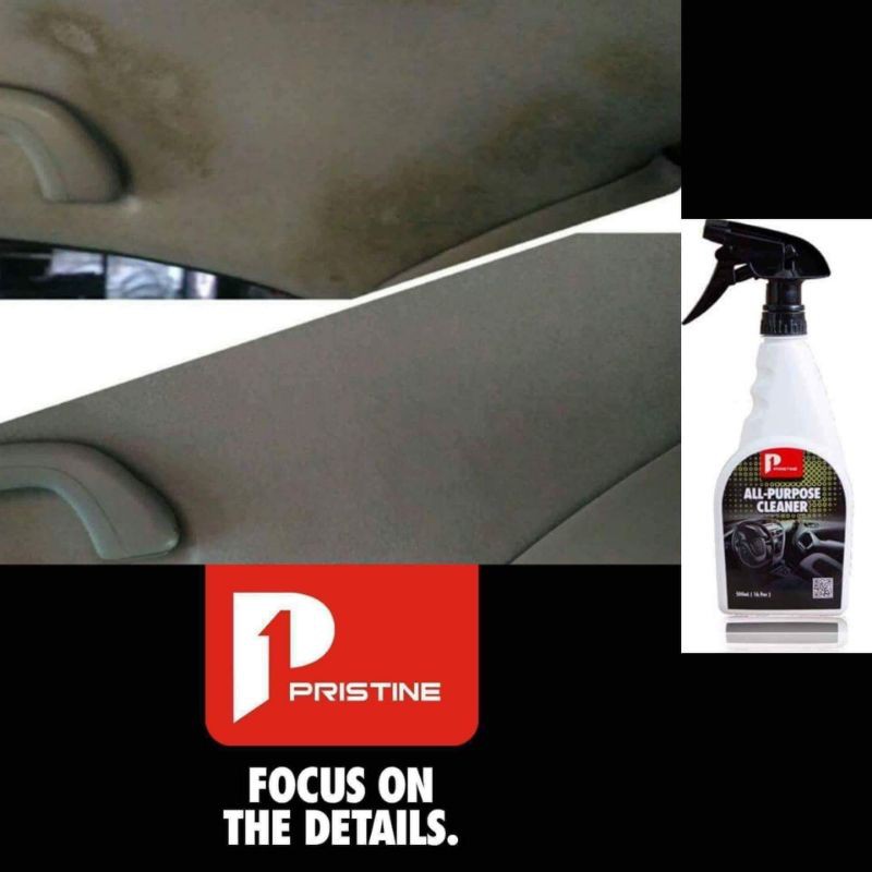 Pristine All Purpose Cleaner 1 Gallon | Shopee Philippines