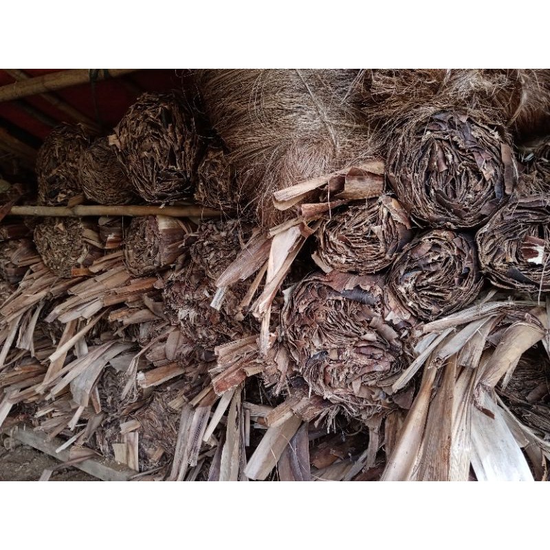Catanduanes Abaca Pulp for Paper Making Shopee Philippines