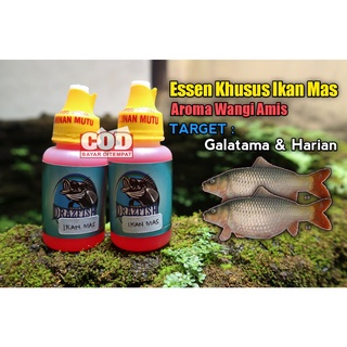 fish oil - Outdoor Recreation Best Prices and Online Promos