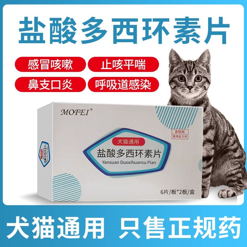 Mofei veterinary drug canine distemper medicine dog cold runny nose