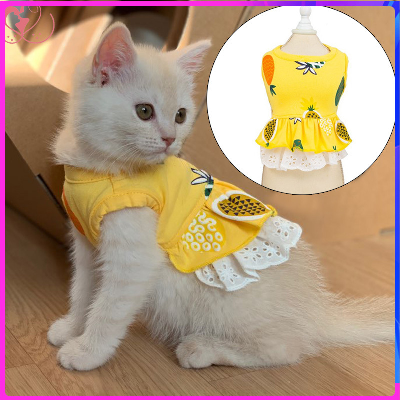 Animal cat cheap dress