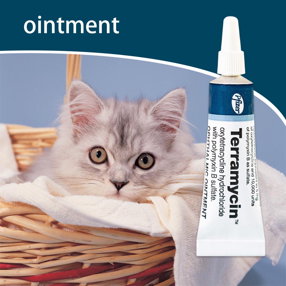 Pet Eye Soft Gel for Cat and Dog Corneal Inflammation Ointment Eye