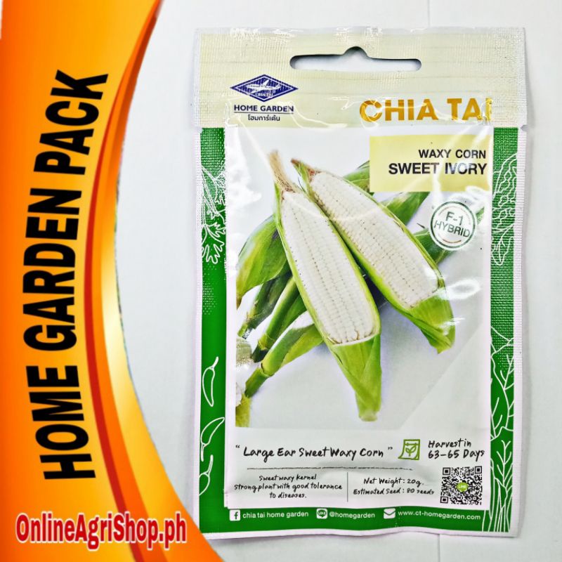SWEET IVORY F1 WAXY CORN SEEDS 80 SEEDS (CHIA TAI) | Shopee Philippines