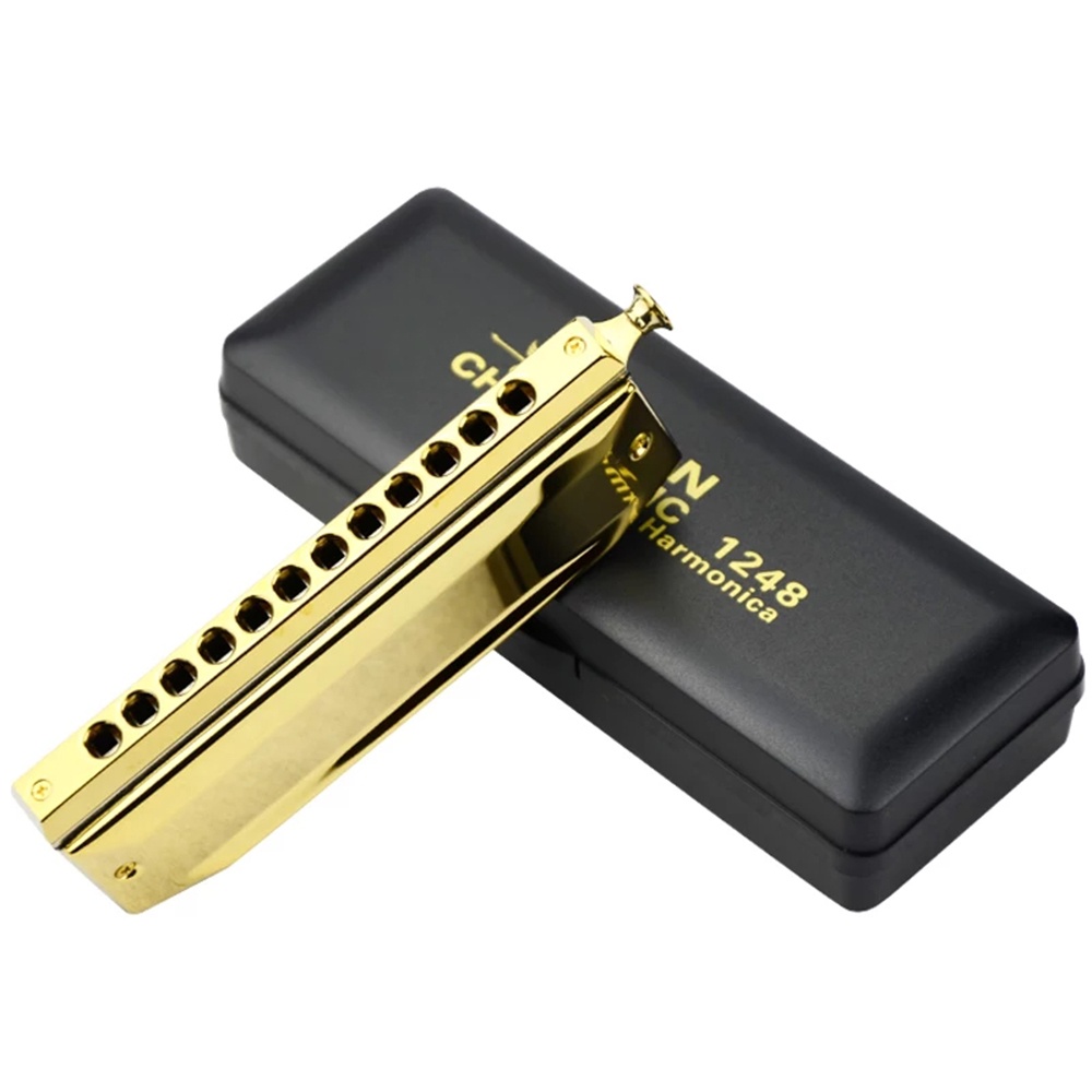 Swan 12 hole on sale chromatic harmonica