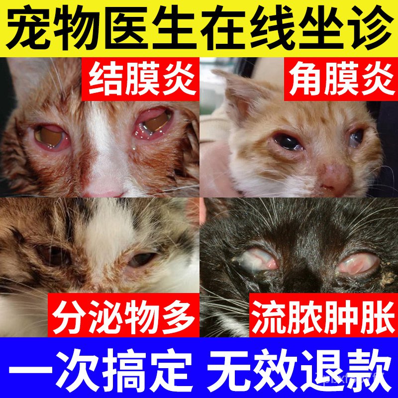 Dog Dog Cat Mi Eye Drops Eye Inflammation Pus Tears Pet Eye Drops Dog