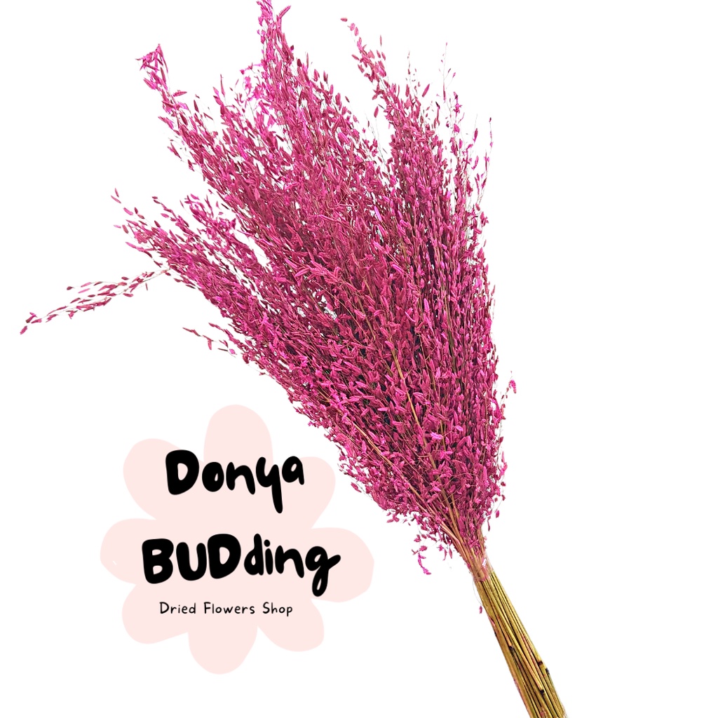 Dried Flower Dried Misty Rice (Full Bundle) | Shopee Philippines
