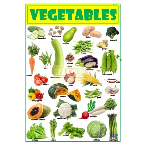 Fruits & Vegetables Educational Chart for kids A4 Size Laminated ...