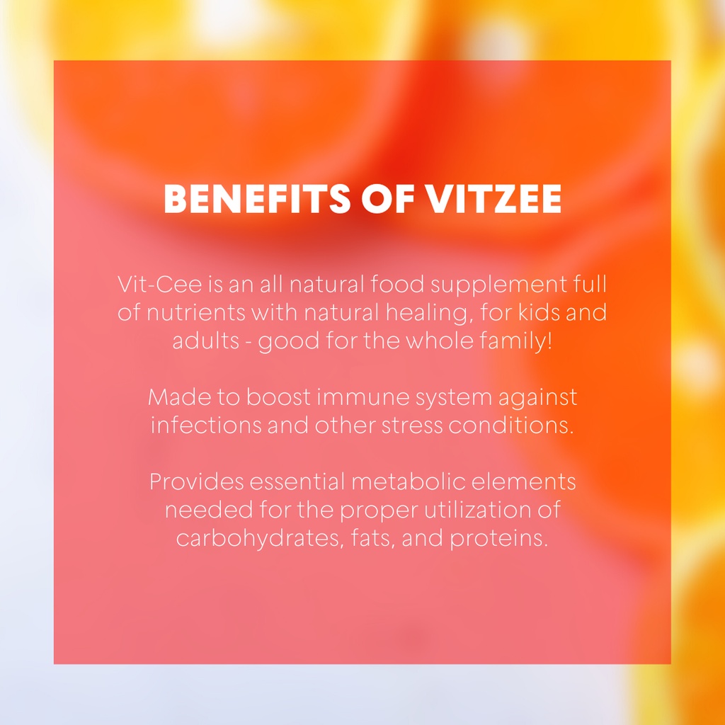 BUY 1 TAKE 1 Original Zynergia Vitzee Sodium Ascorbate 500 mg 30 ...