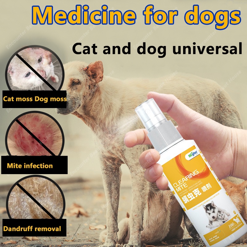 Dog skin problem medicine best sale