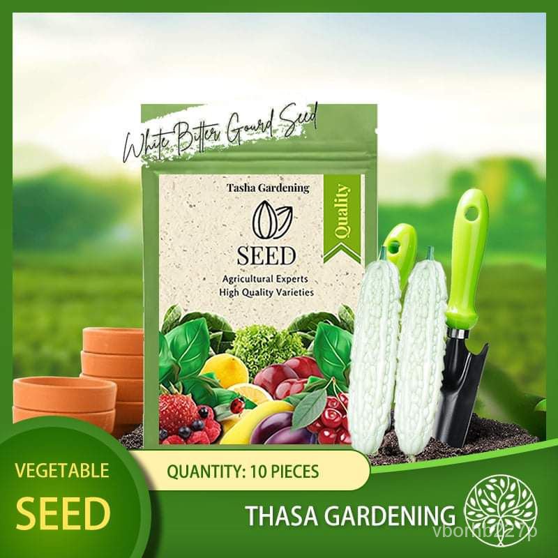 spot seedsTASHA GARDENING 10pcs Bitter Gourd Peria Putih Biji Benih