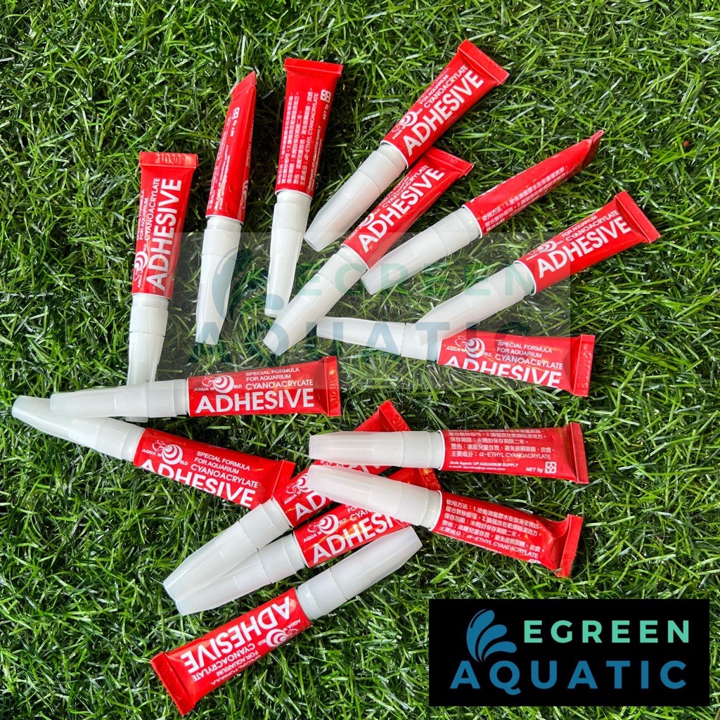 Aquarium Glue Cyanoacrylate Adhesive Superglue for Aquascape Plants Stones Woods Fish Tank