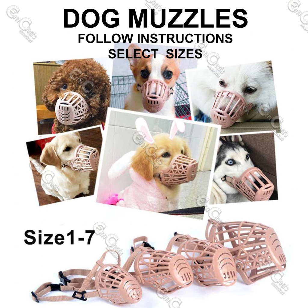 Shih tzu muzzle for biting sale