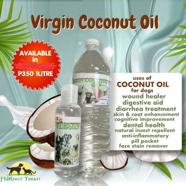 Coconut oil skin treatment for outlet dogs