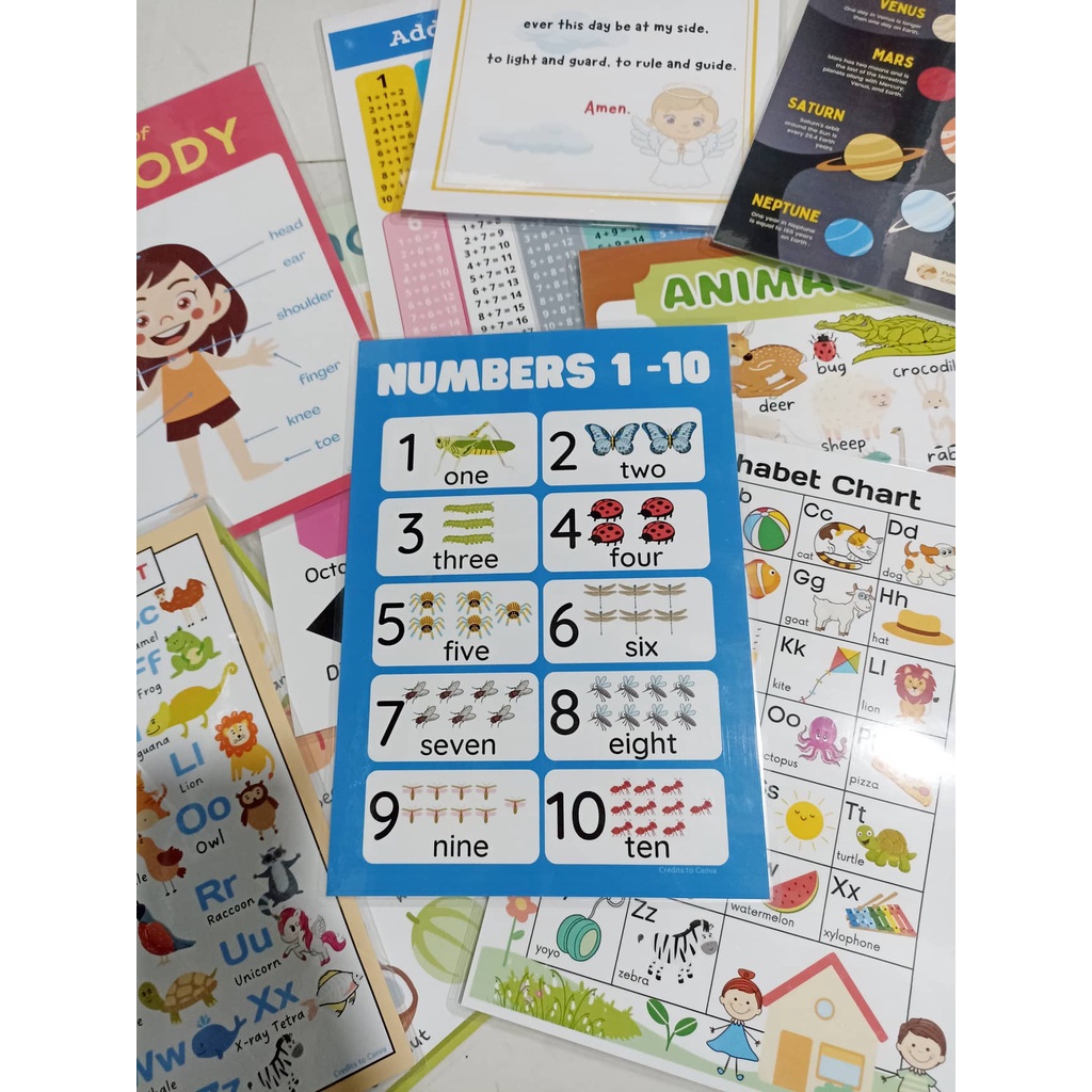 A4 Laminated Chart Educational Wall Charts for Kids Learning Charts ...