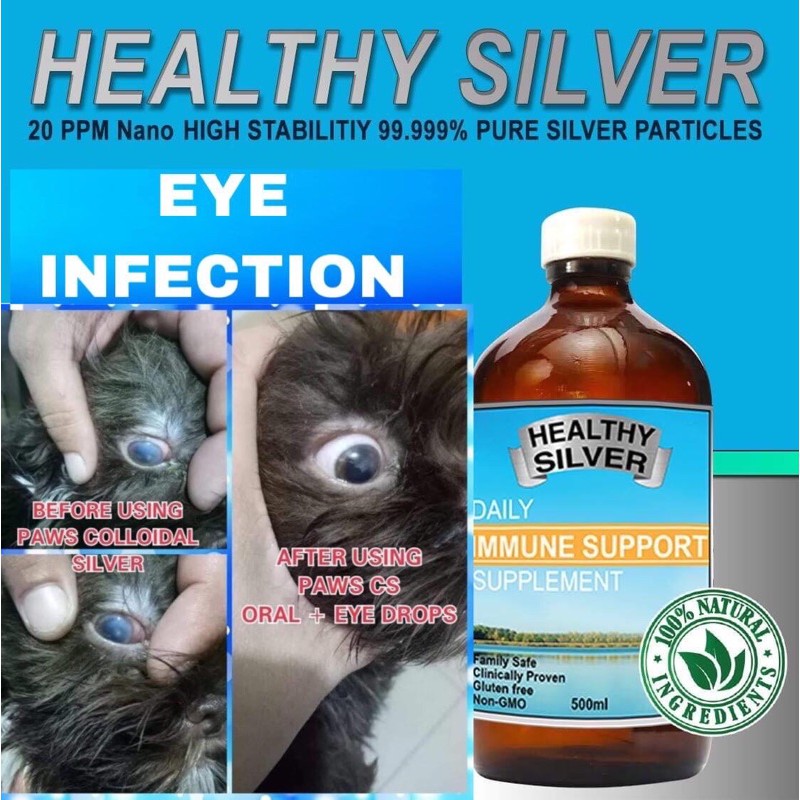 Colloidal silver 2024 in dogs eyes