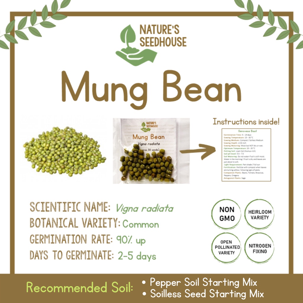 Green Mung Bean Seeds | Green Munggo Seeds | Vegetable Seeds | Plant ...