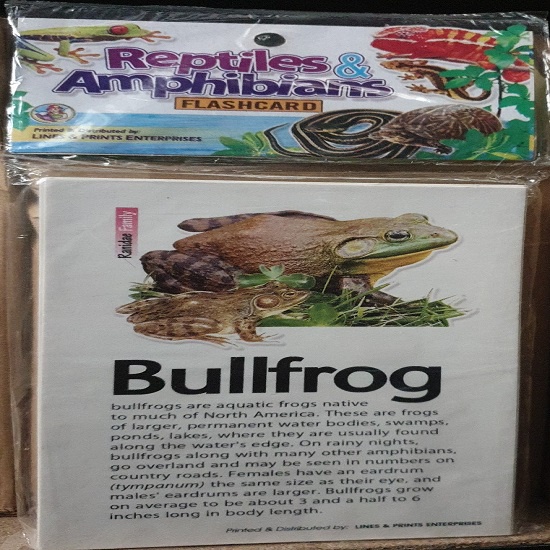 Reptiles & Amphibians Flashcards (Small) | Shopee Philippines