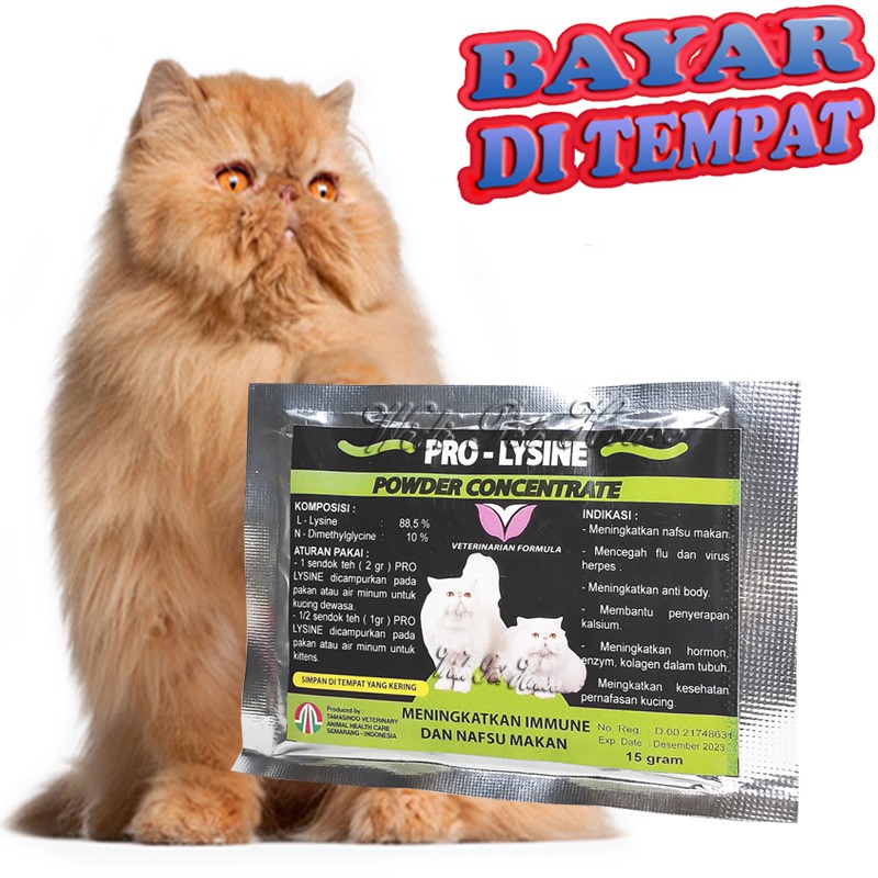 Cat vitamins discount for weight gain