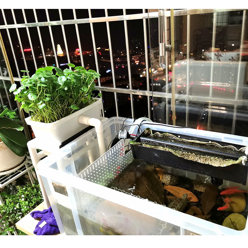 ♀Swamp filter box DIY homemade turnover box fish tank fish pond turtle