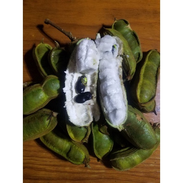 Ice Cream BeanGuaba Inga Edulis Shopee Philippines