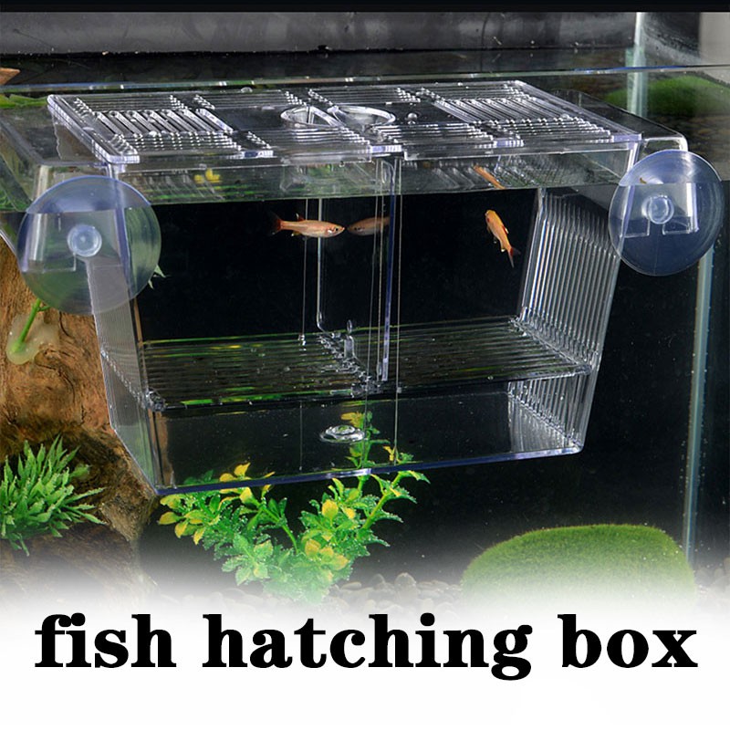 Aquarium Fish Breeding Boxes Double Guppies Hatching Incubator ...