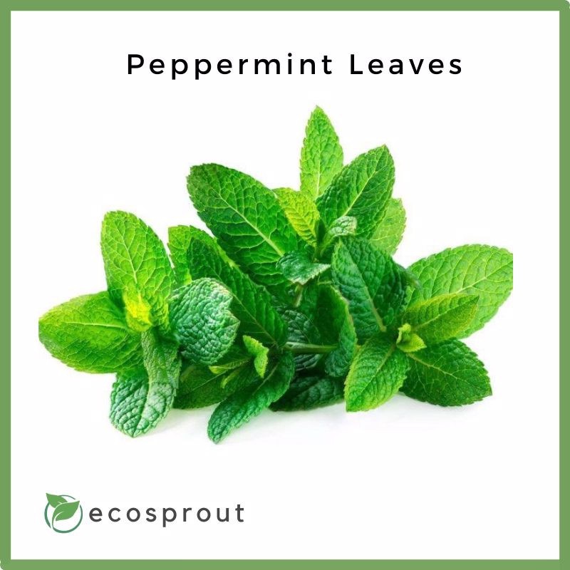 Fresh Peppermint Leaves 50g Fresh Vegetables Fresh Fruits