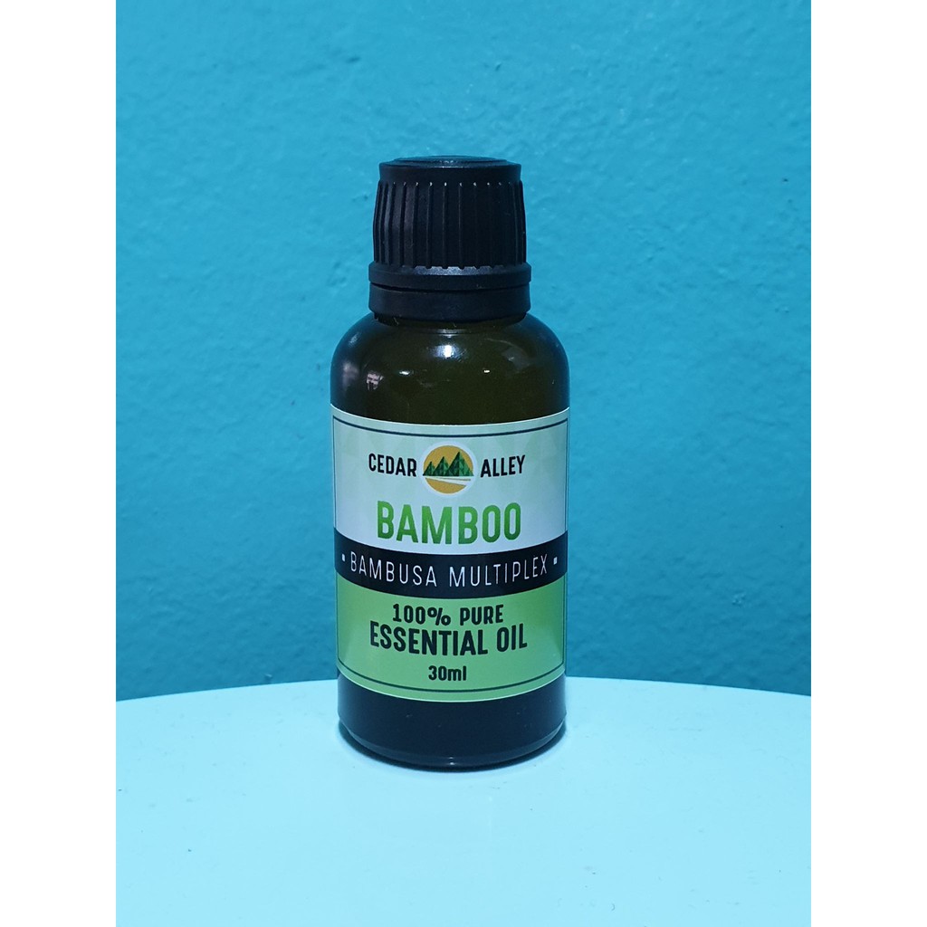 Bamboo Pure Essential Oil 5ml TRIAL / 10ml MINI / 30ml | Shopee Philippines