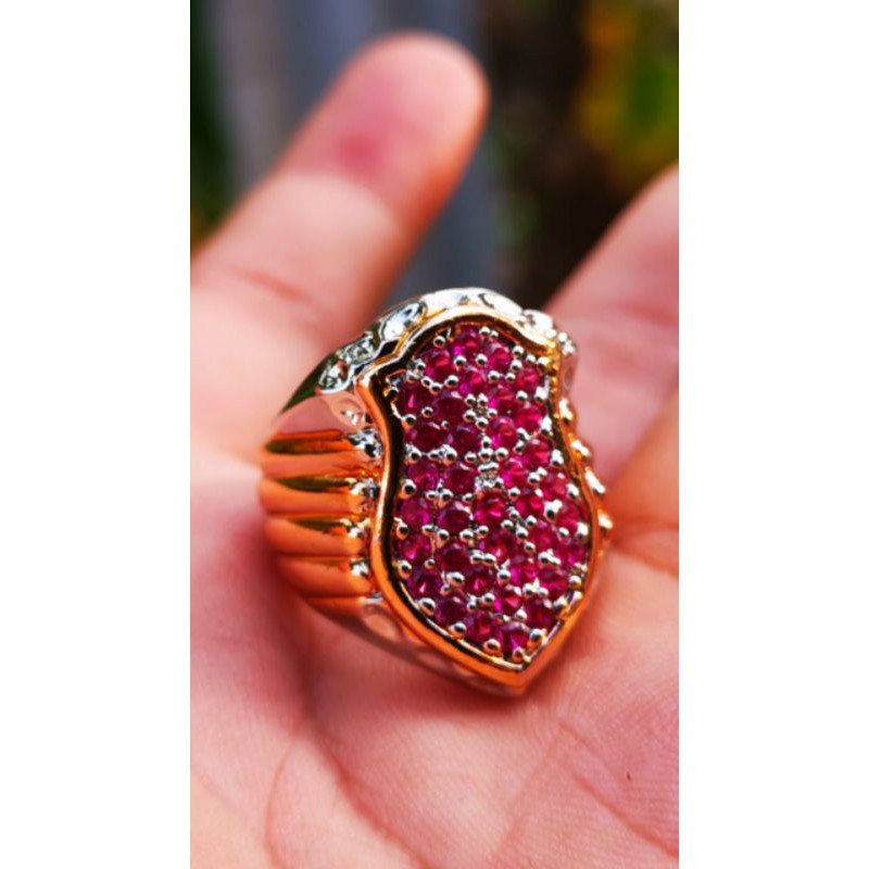 Natural STAMPLE RUBY Sow Mother HIGH QUALITY | Shopee Philippines