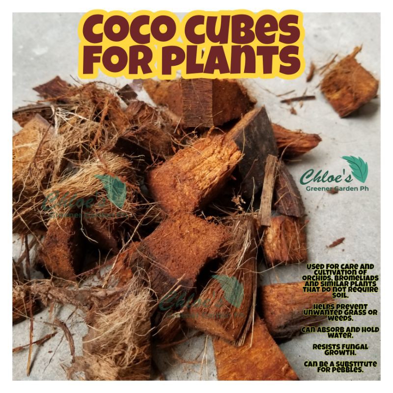 COCO CUBES FOR PLANTS FOR AROID SOIL MIX SOIL Additive for ORCHIDS