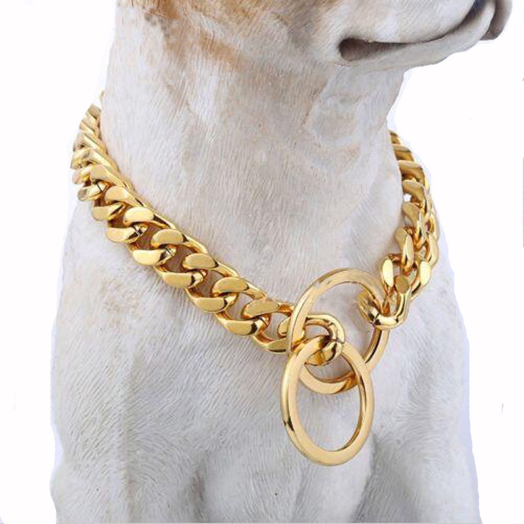 Dog chain clearance accessories