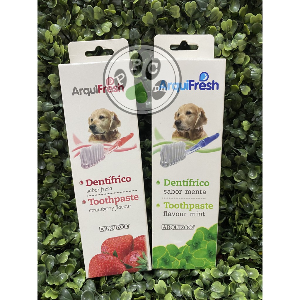 Arquivet toothpaste sale