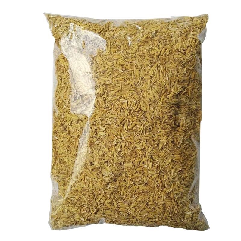 Fresh rice husk (raw rice husk) used to mix soil for growing vegetables ...
