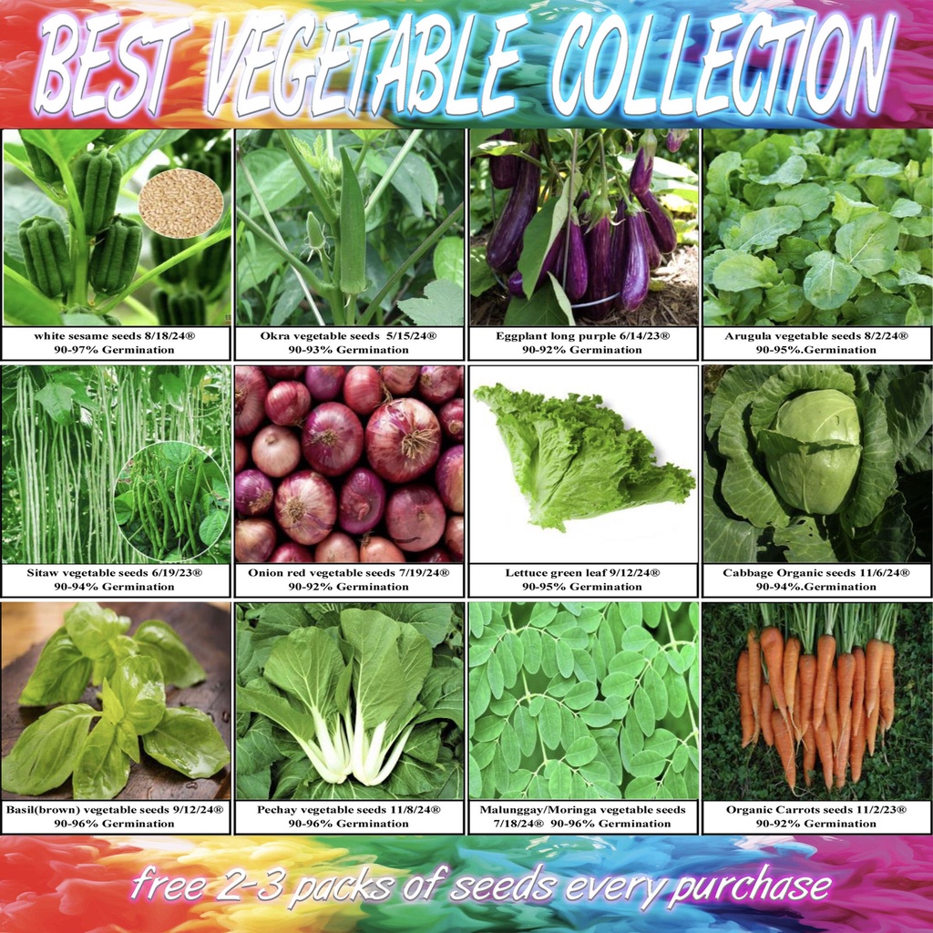 VEGETABLES collection high germination OKRA SITAW PECHAY AMPALAYA