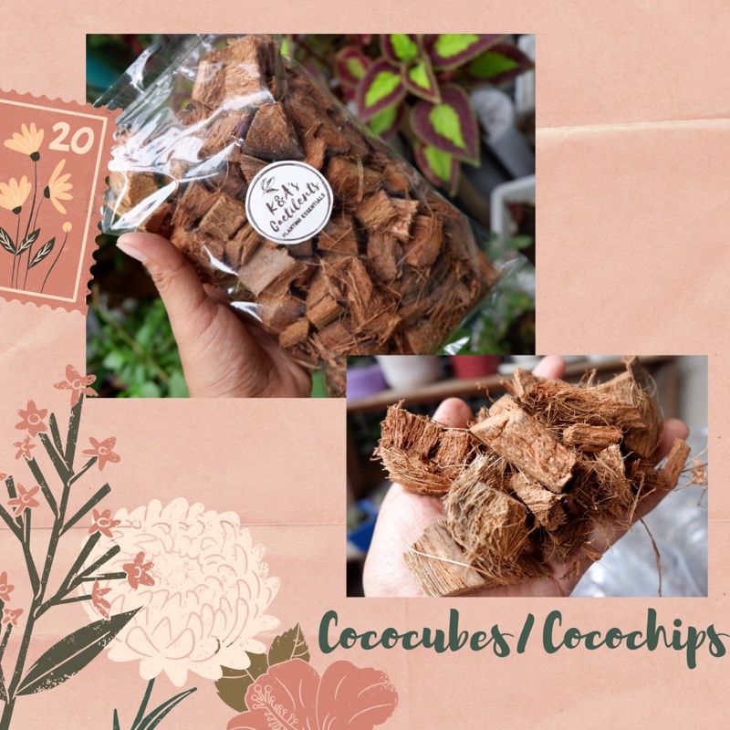 Coco cubes | Coco chips | Coco chops 100grams | Shopee Philippines