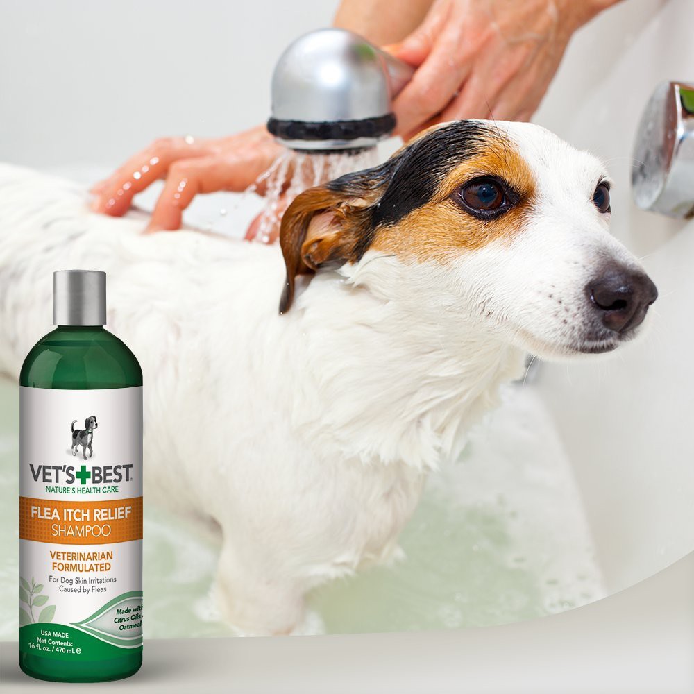 Vet's Best Flea Itch Relief Dog Shampoo (16oz) Shopee Philippines
