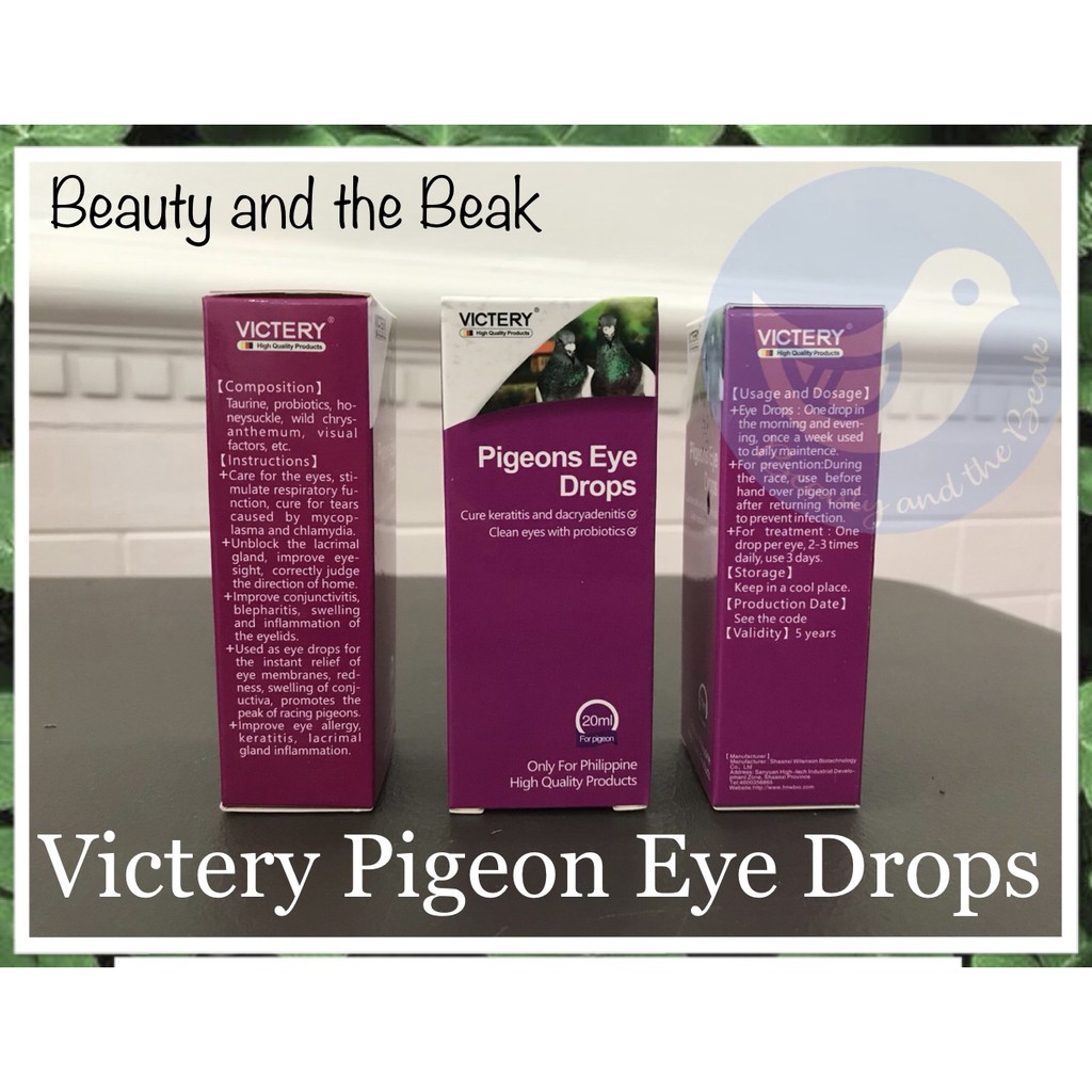 Victery Pigeon Eye Drops Clean Eyes with Probiotics Philippine Version