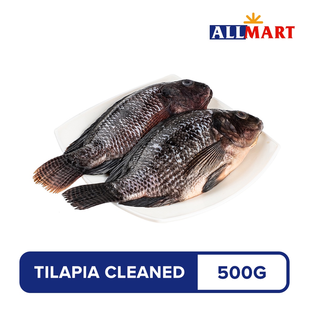AllMart Tilapia Batangas Cleaned 500g Shopee Philippines