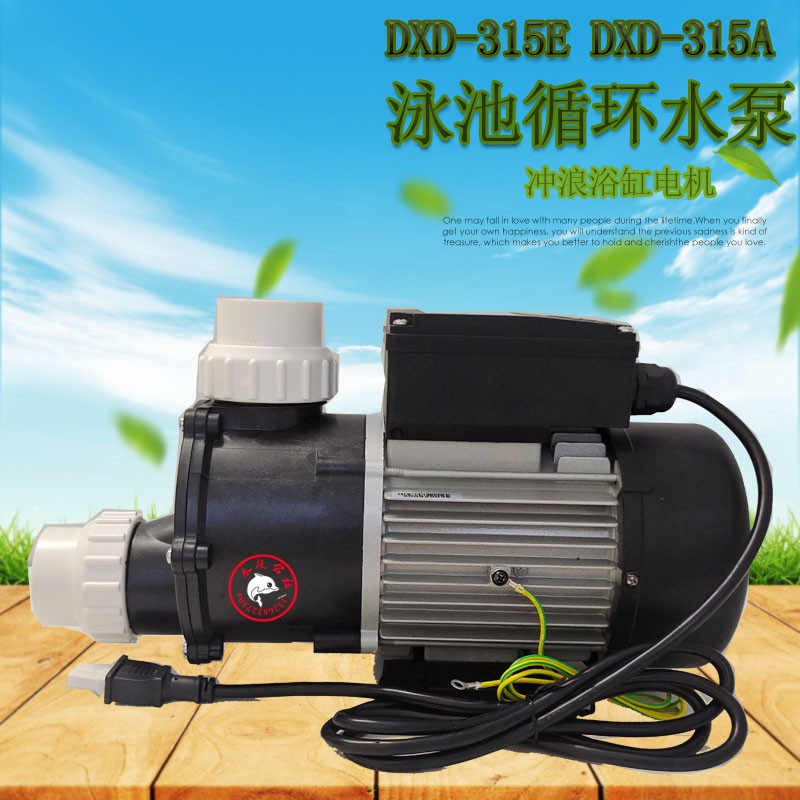 DXD water pump bathtub surfing cylinder motor massage bathtub spa pump