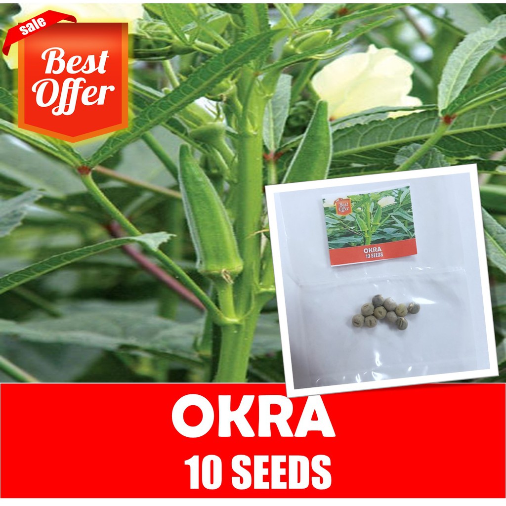 Okra Seeds Smooth Okra Shopee Philippines
