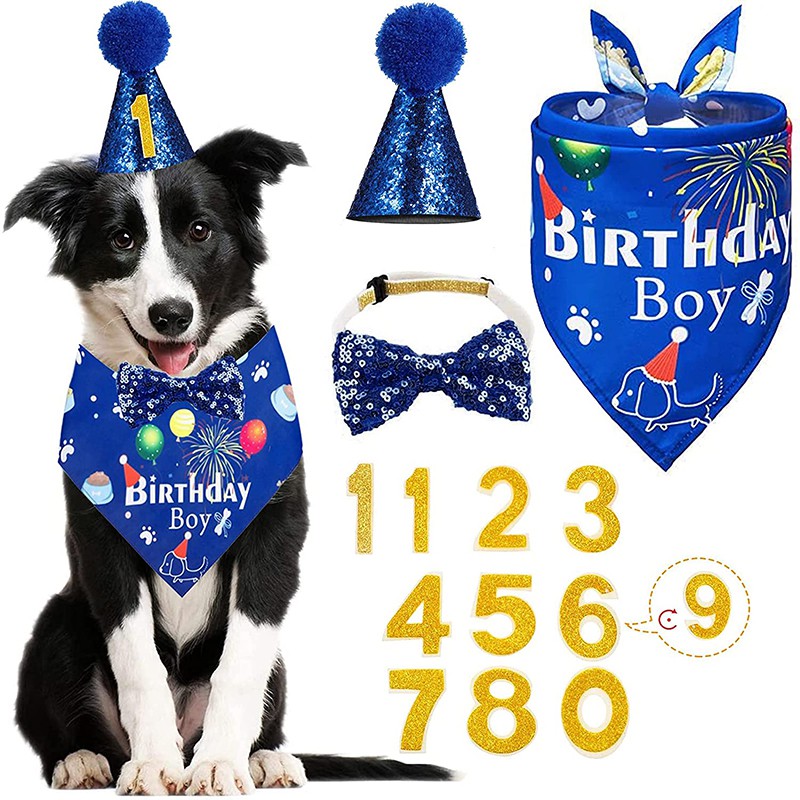 Petco Dog Birthday Treats PTDECO Dog Bithday Paty Supplies