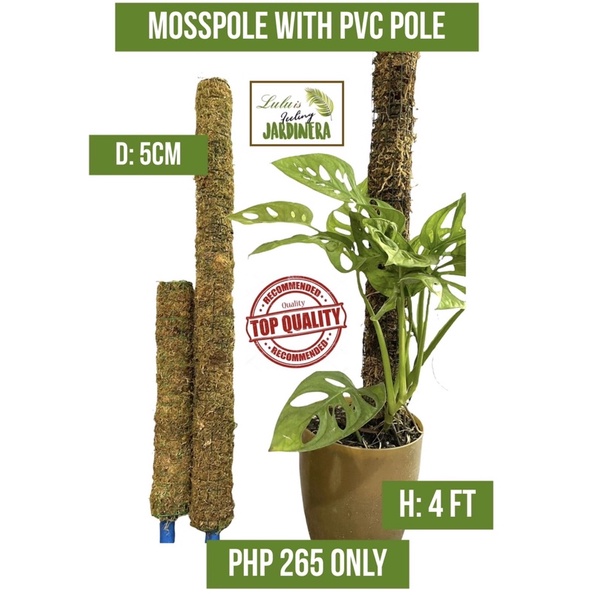 4 FT MOSS POLE with PVC POLE inside/ MOSSPOLE for PLANTS / Plant Pole