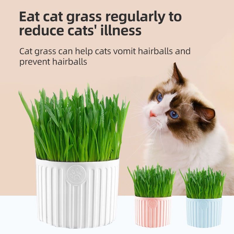 【HAPPY PAWS PET】Organic Cat grass knit with pot and solid