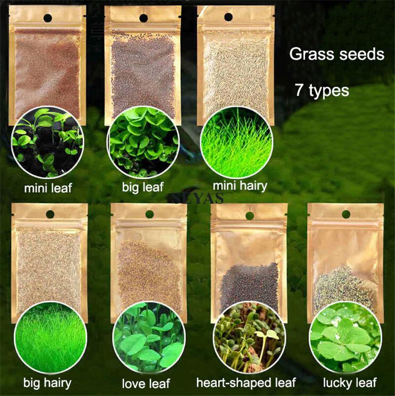 5G Aquarium Plant Seed Rumput Air Akuarium Aquatic Plants Water Grass Seeds Shopee Philippines