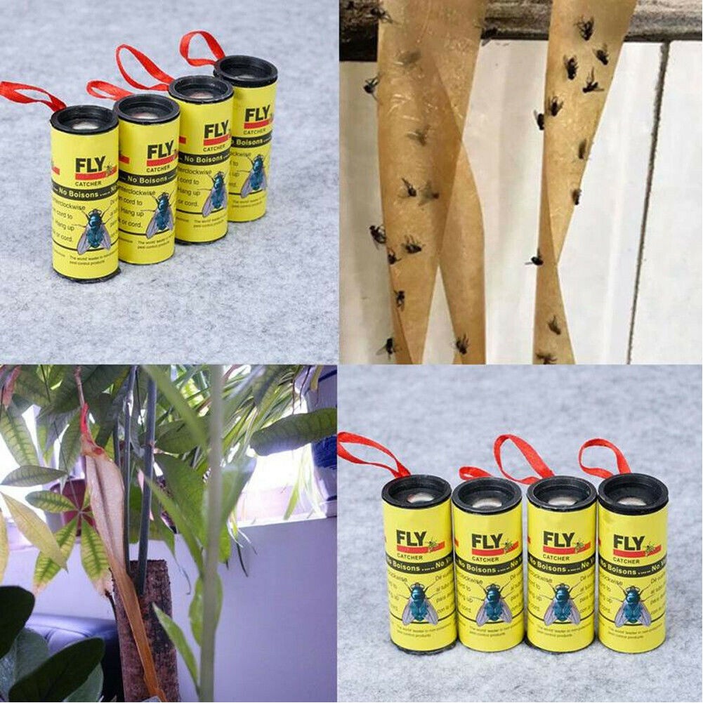 Shop fly trap sticky for Sale on Shopee Philippines