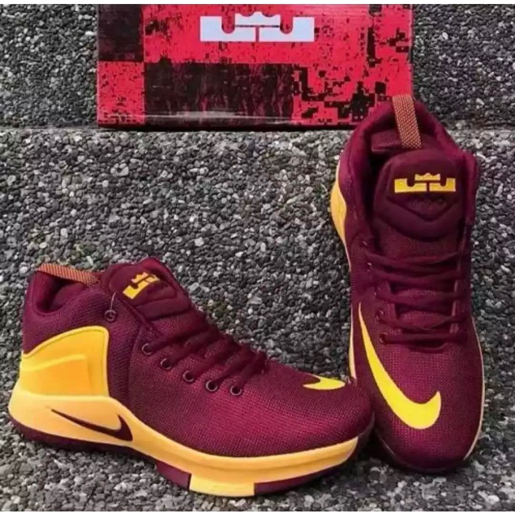 Lebron james store nike zoom shoes