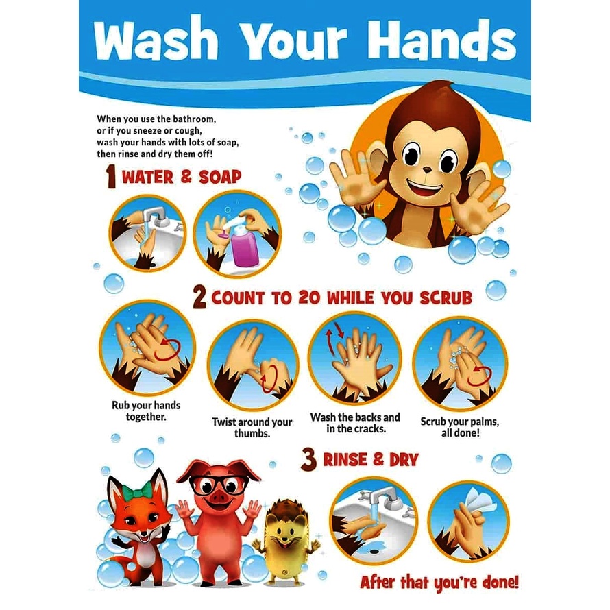 WASH YOUR HANDS / HYGIENE POSTER , Educational Laminated Charts for ...