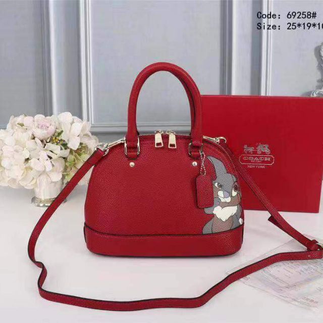 Coach store alma mini