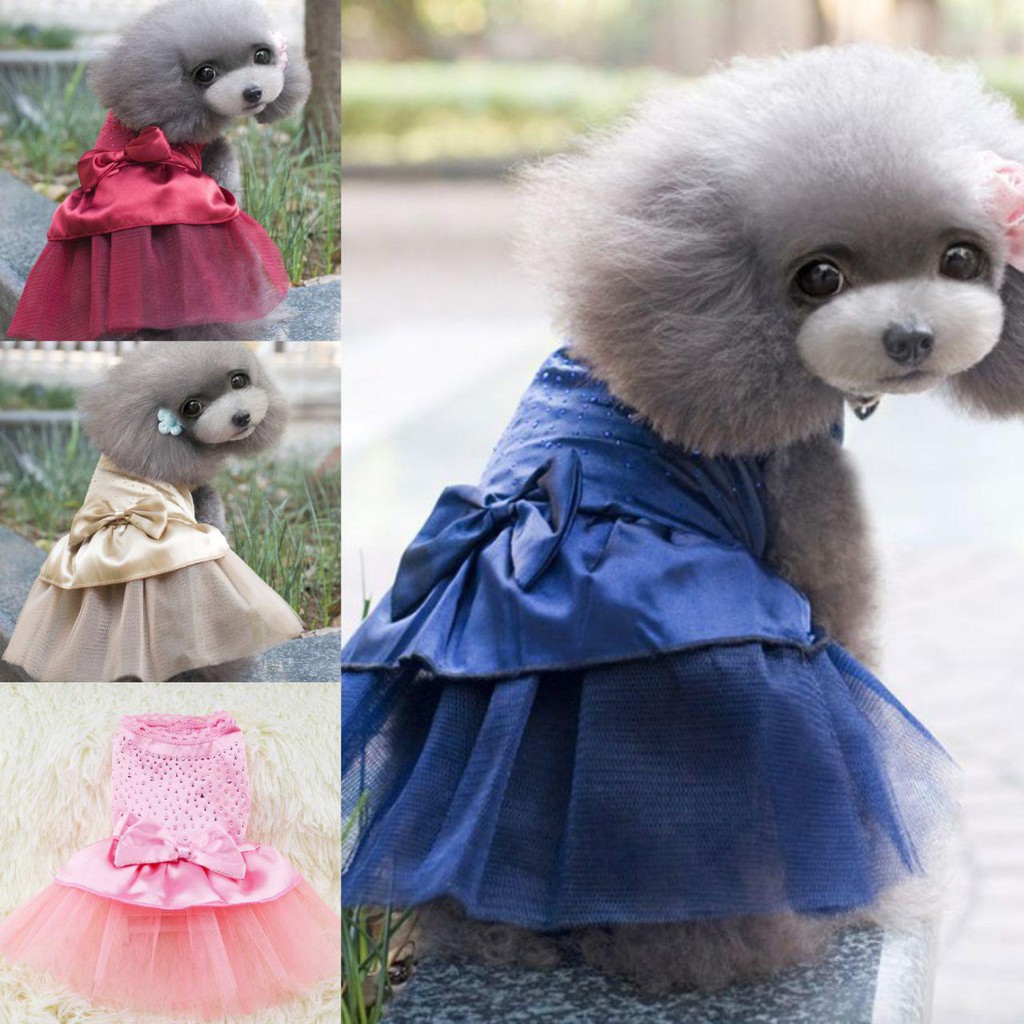 Flower Girl Gown Pet Dog Cat Dress Clothes Shopee Philippines