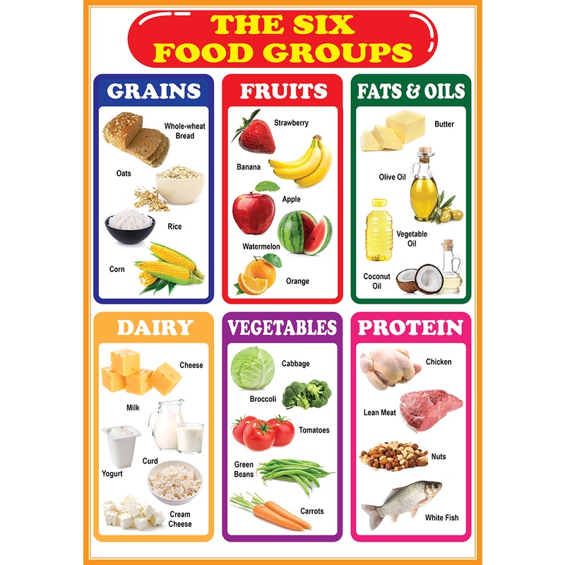 SIX FOOD GROUPS EDUCATIONAL CHART FOR KIDS - A4 SIZE | Shopee Philippines